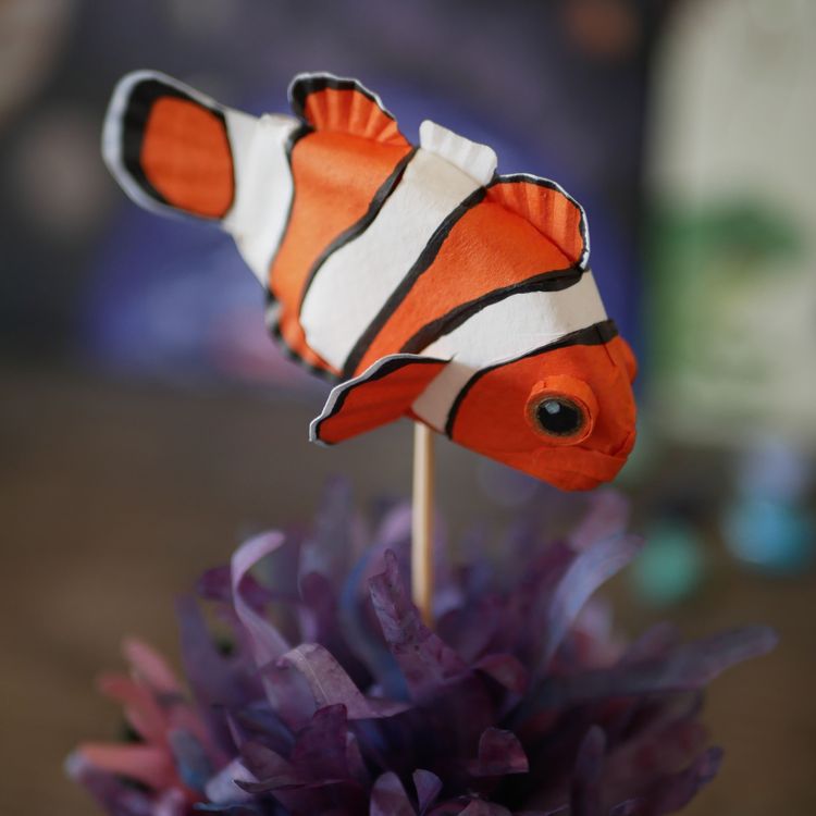 Photo de Poisson-clown du Pacifique