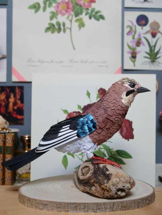 Photo de Geai des chênes