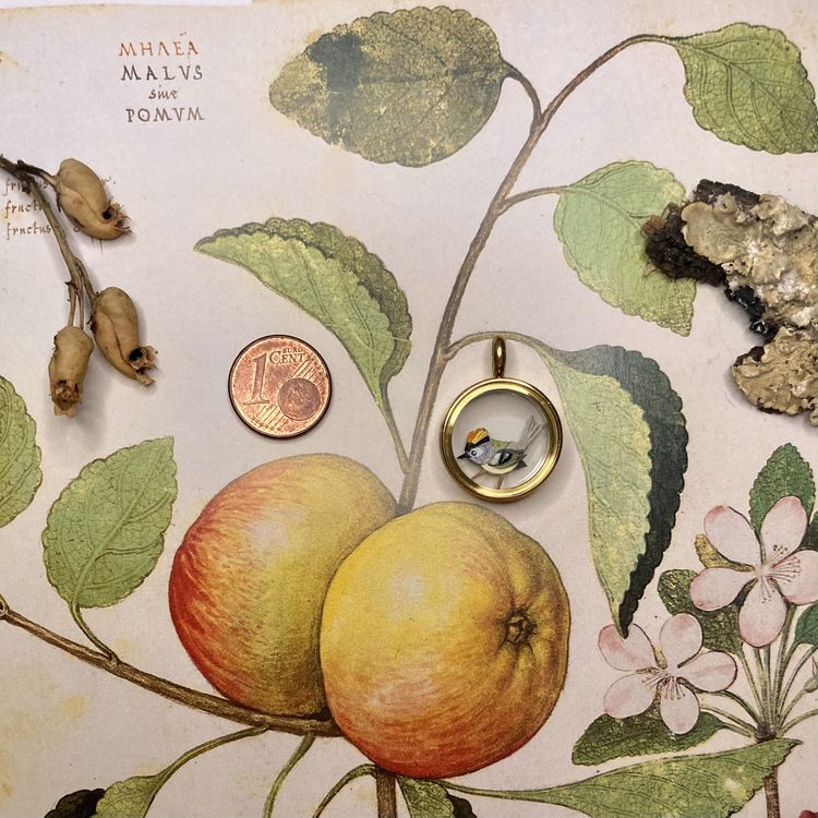Photo de Médaillon Roitelet huppé mâle