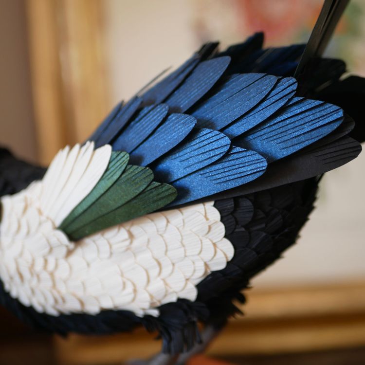 Photo de Pie bavarde