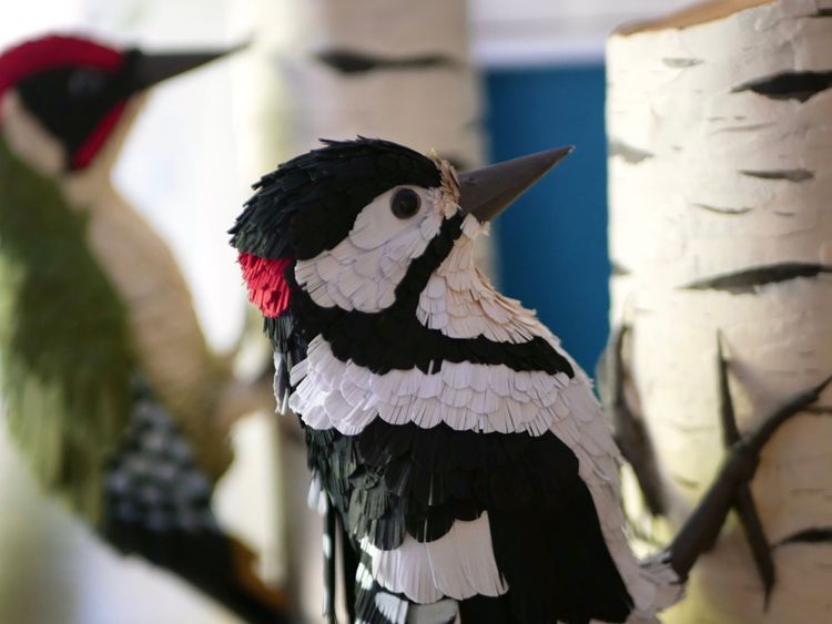 Photo de Pic épeiche