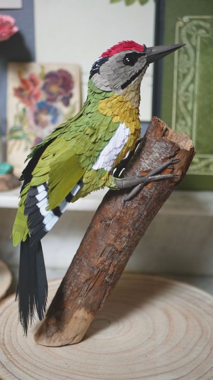 Photo de Pic cendré