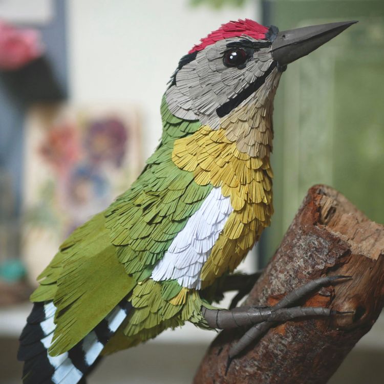 Photo de Pic cendré