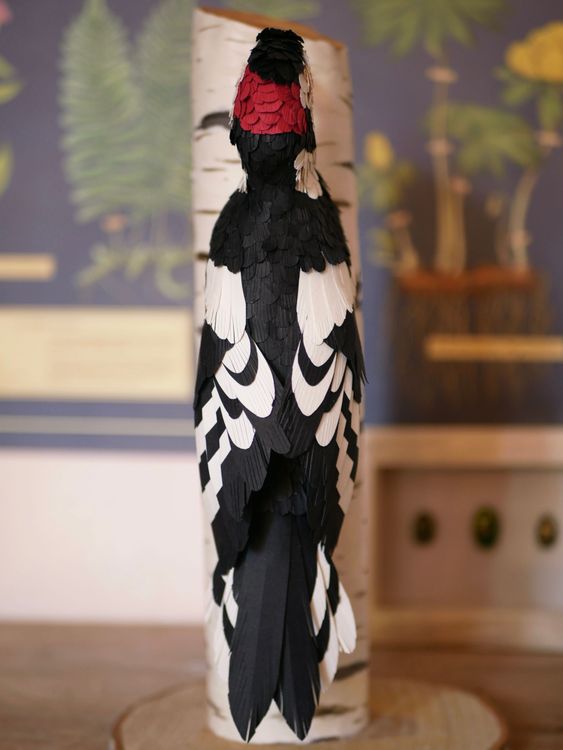 Photo de Pic épeiche