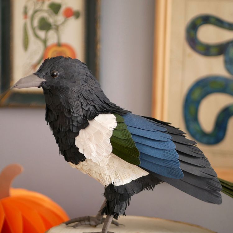 Photo de Pie bavarde